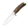Buck Knives Buck 192 Vanguard Knife With Walnut Handle